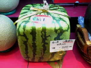 sandias watermelons japonesa sandia agribusiness cuadrada cuadradas melancia meloner kub fyrkantiga