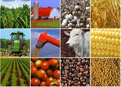 Agribusiness: Commodity Trading and Risk Management