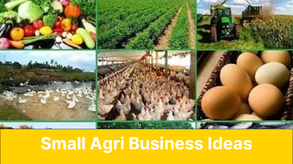 Money-Making Agriculture Business Ideas