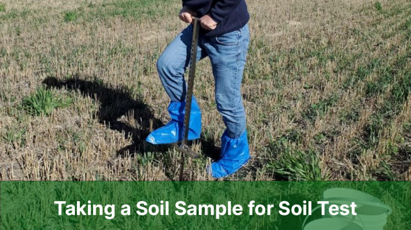 How To Take A Soil Sample: A Step-by-Step Guide ,Testing Lab